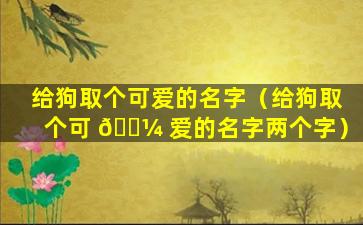 给狗取个可爱的名字（给狗取个可 🌼 爱的名字两个字）